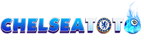 CHELSEATOTO logo